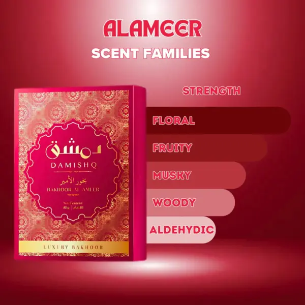 Damishq Bakhoor Al Ameer - Image 4