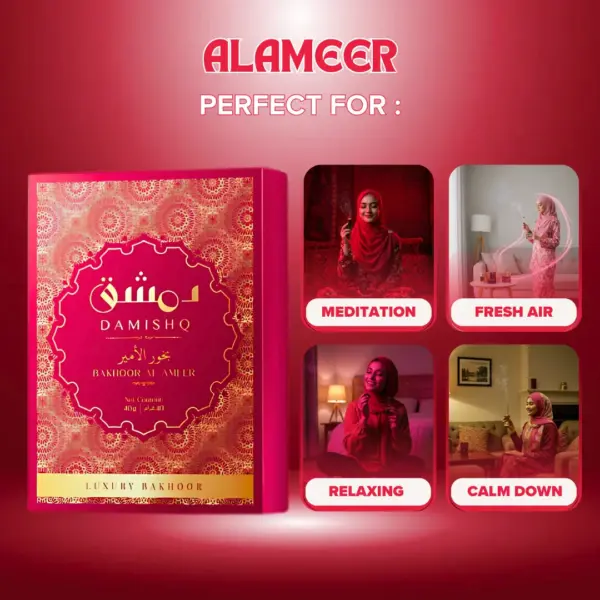 Damishq Bakhoor Al Ameer - Image 5